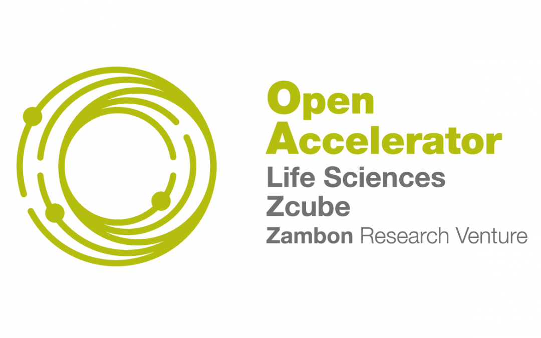 Link Up in the mentoring programme of the Open Accelerator by Zcube, Zambon group